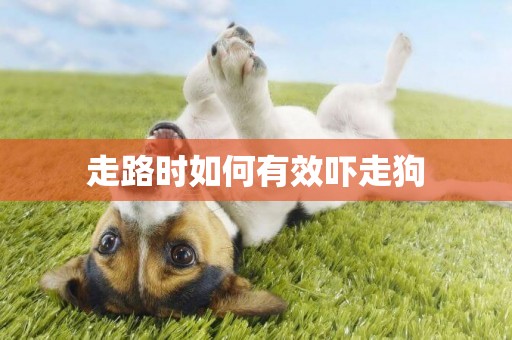 走路時如何有效嚇走狗