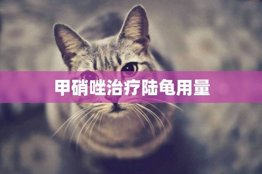 甲硝唑治療陸龜用量