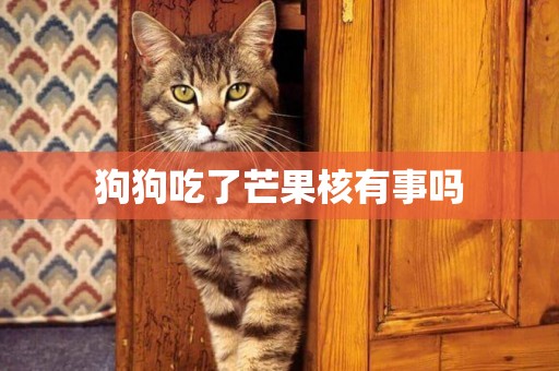 狗狗吃了芒果核有事嗎