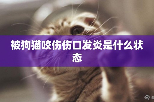 被狗貓咬傷傷口發炎是什么狀態