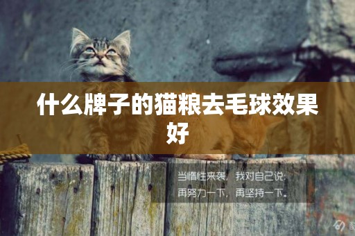 什么牌子的貓糧去毛球效果好