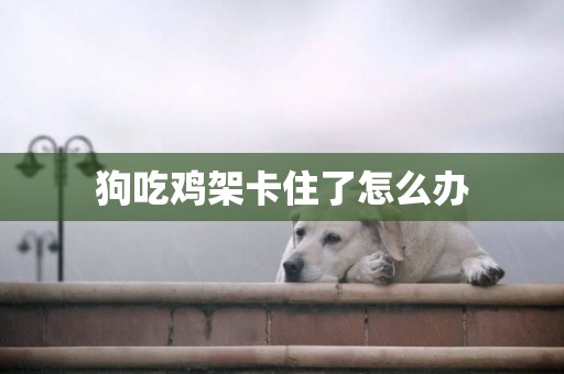 狗吃雞架卡住了怎么辦