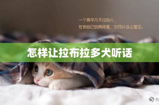 怎樣讓拉布拉多犬聽話