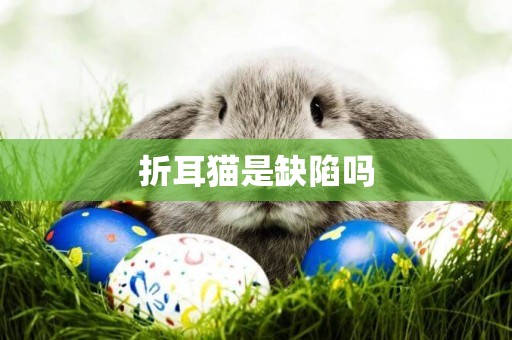 折耳貓是缺陷嗎