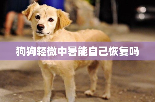 狗狗輕微中暑能自己恢復嗎