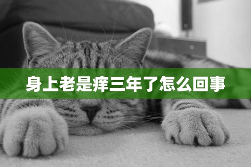身上老是癢三年了怎么回事