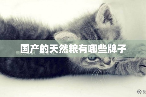 國產的天然糧有哪些牌子