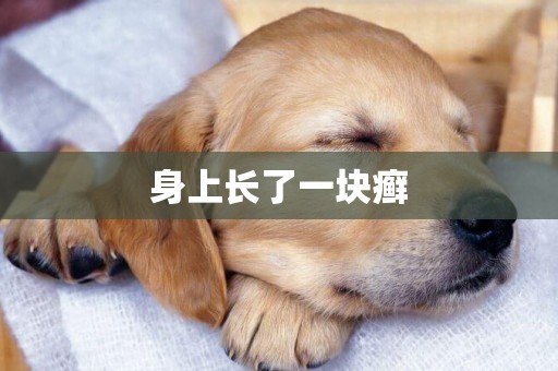 身上長了一塊癬
