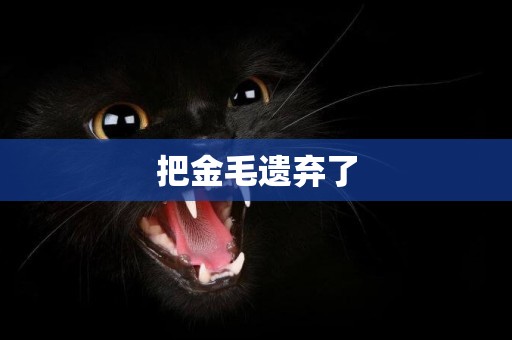 把金毛遺棄了