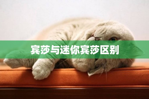 賓莎與迷你賓莎區別