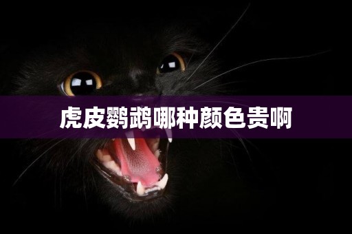 虎皮鸚鵡哪種顏色貴啊