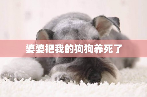 婆婆把我的狗狗養死了