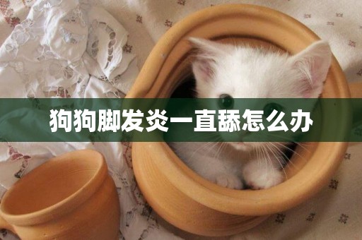 狗狗腳發炎一直舔怎么辦