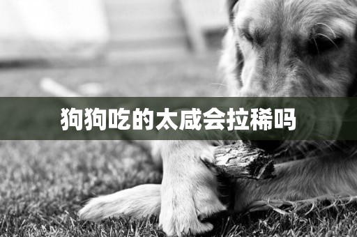 狗狗吃的太咸會拉稀嗎