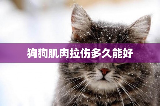 狗狗肌肉拉傷多久能好