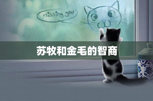 蘇牧和金毛的智商