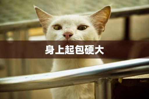 身上起包硬大