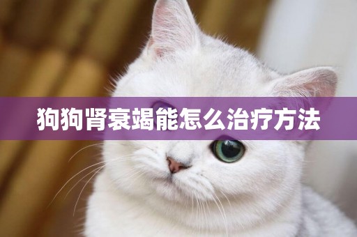 狗狗腎衰竭能怎么治療方法