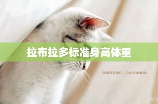 拉布拉多標準身高體重