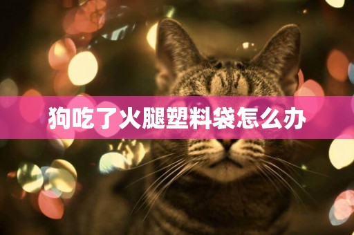 狗吃了火腿塑料袋怎么辦
