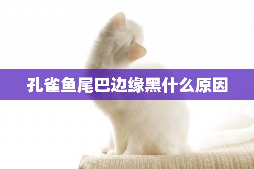 孔雀魚尾巴邊緣黑什么原因