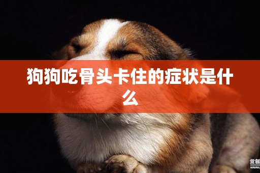 狗狗吃骨頭卡住的癥狀是什么