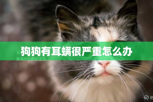 狗狗有耳螨很嚴重怎么辦