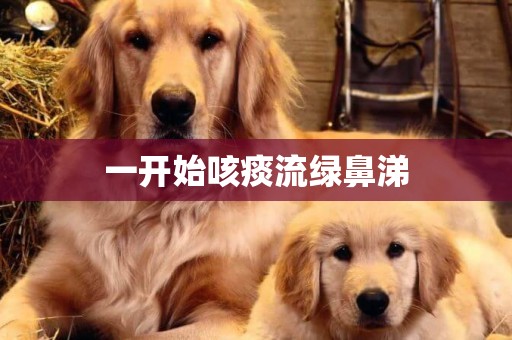 一開始咳痰流綠鼻涕