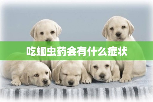 吃蛔蟲藥會有什么癥狀
