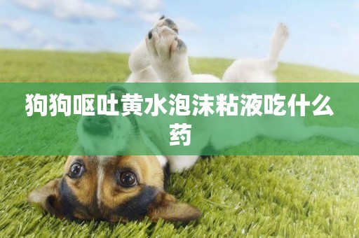 狗狗嘔吐黃水泡沫粘液吃什么藥