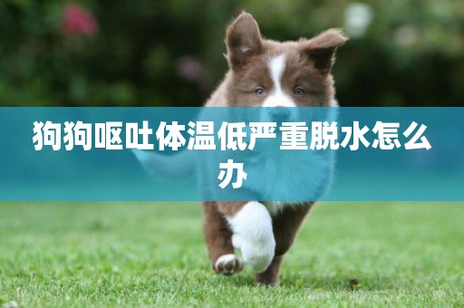 狗狗嘔吐體溫低嚴重脫水怎么辦