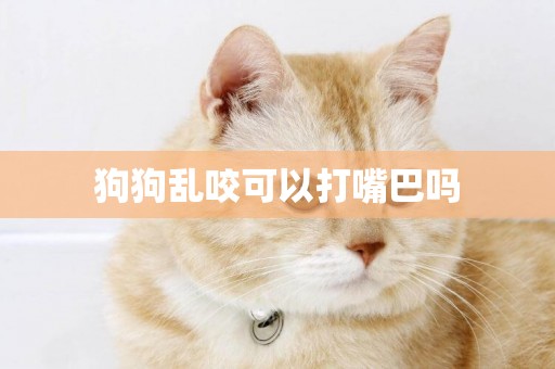 狗狗亂咬可以打嘴巴嗎