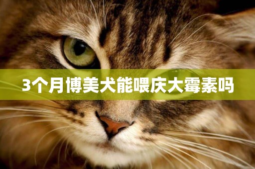 3個月博美犬能喂慶大霉素嗎
