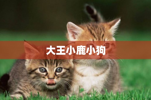 大王小鹿小狗