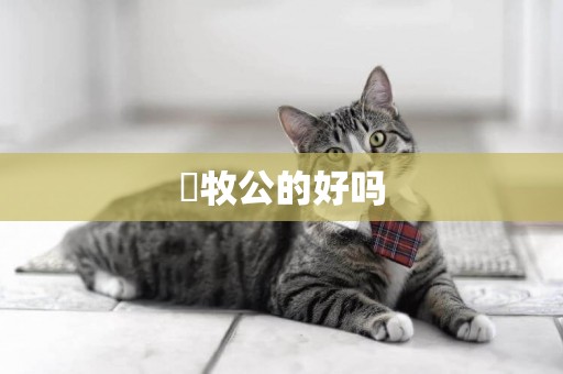 徳牧公的好嗎