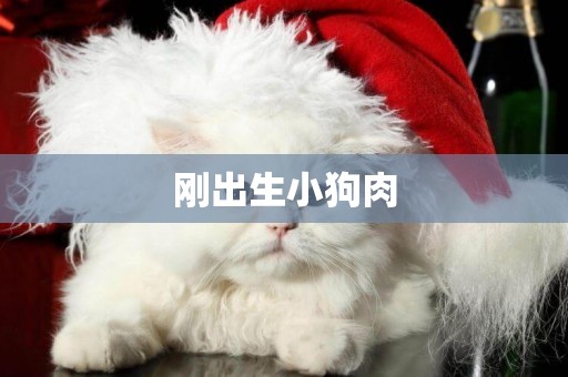 剛出生小狗肉