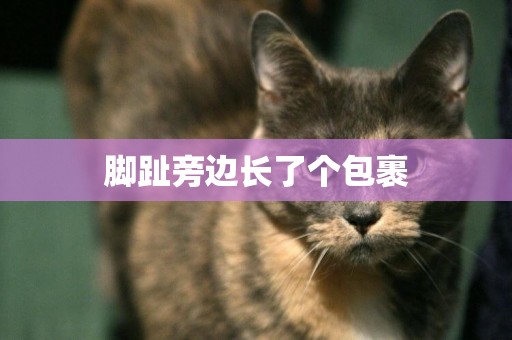 腳趾旁邊長了個包裹