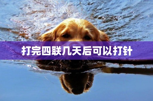 打完四聯幾天后可以打針