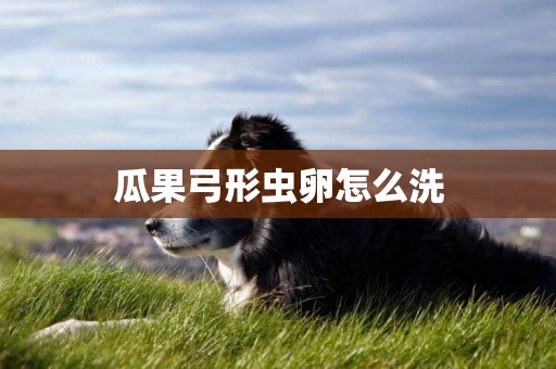 瓜果弓形蟲卵怎么洗