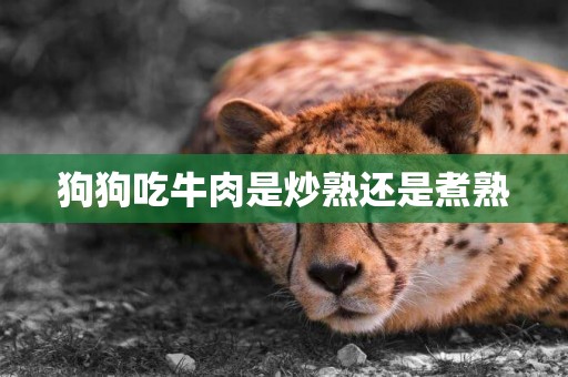 狗狗吃牛肉是炒熟還是煮熟