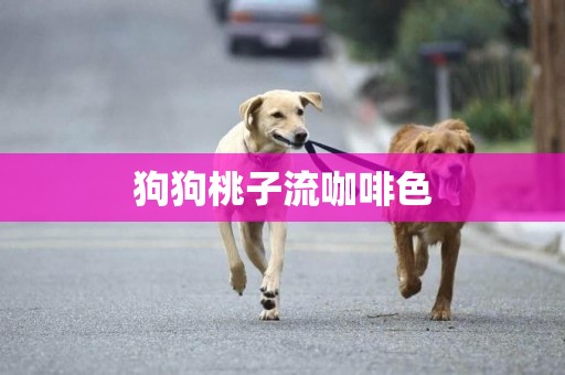 狗狗桃子流咖啡色