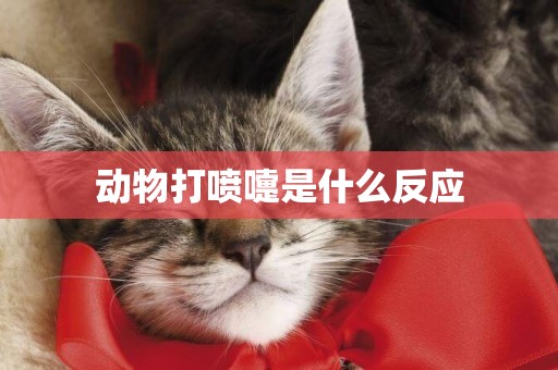 動物打噴嚏是什么反應
