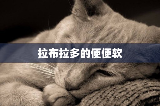 拉布拉多的便便軟