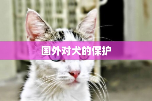 國外對犬的保護