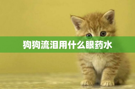 狗狗流淚用什么眼藥水