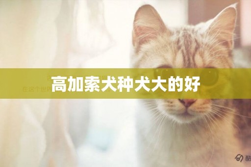 高加索犬種犬大的好