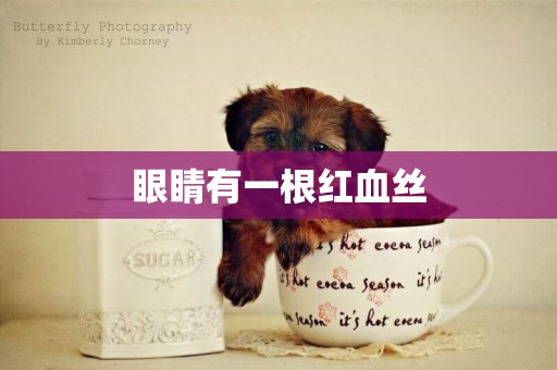 眼睛有一根紅血絲