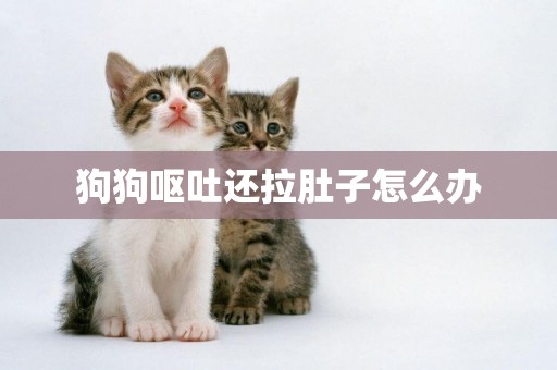 狗狗嘔吐還拉肚子怎么辦