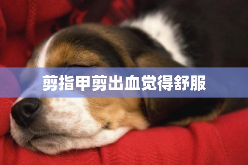 剪指甲剪出血覺得舒服