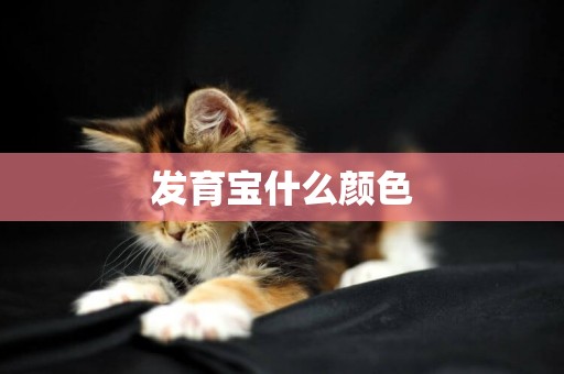 發育寶什么顏色